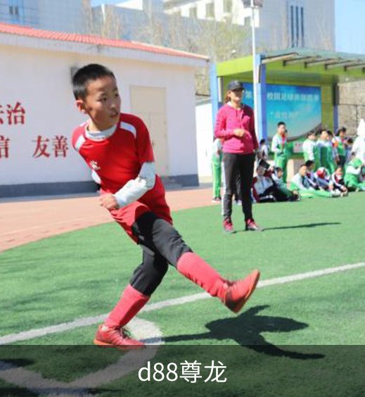 d88尊龙简介